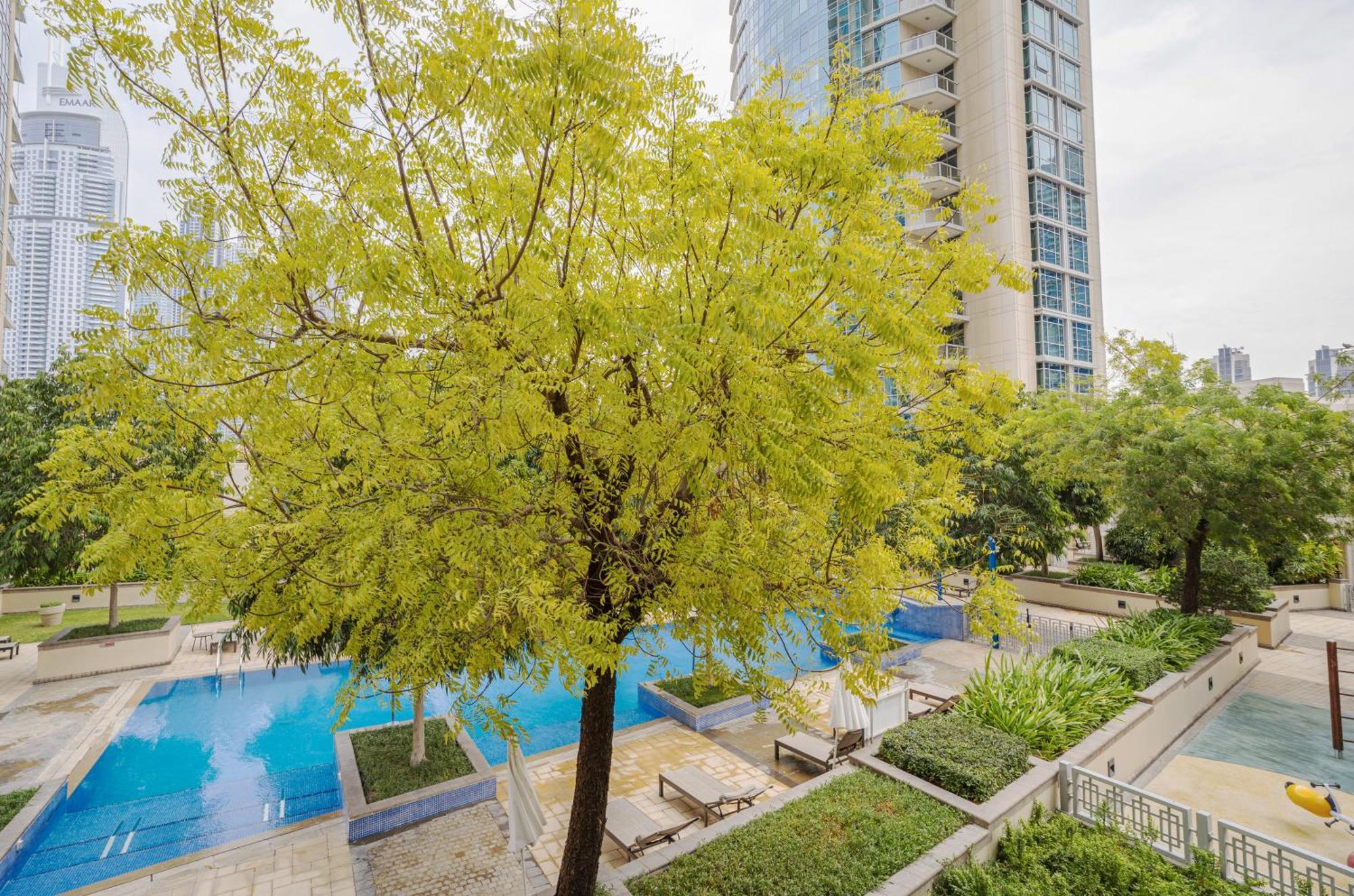 New Arabian Burj 1 & 8 Downtown Appartement *